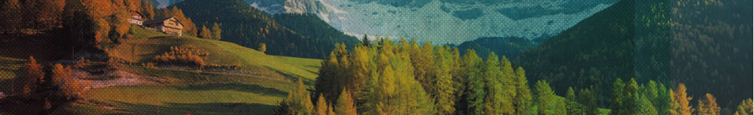 Titelseite der JOBWOCHE 002/2013